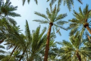 Qassim Heritage Tour: Kultur, markeder og traditioner