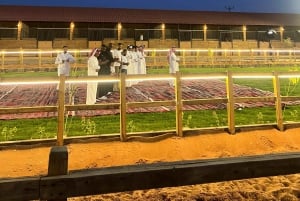 Red Sands Safari x Den arabiske oplevelseslejr