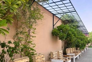 Red Sands Safari x Den arabiske oplevelseslejr