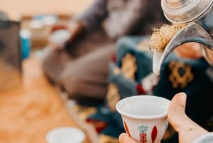 Red Sands Safari x Den arabiske oplevelseslejr