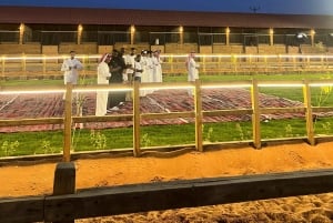 Red Sands Safari x Den arabiske oplevelseslejr