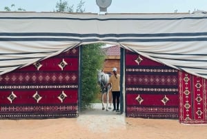 Red Sands Safari x Den arabiske oplevelseslejr