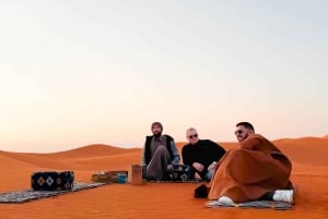 Red Sands Safari x Den arabiske oplevelseslejr