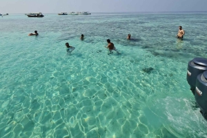 Fuga sul Mar Rosso: esperienza in barca premium a Bayada Island
