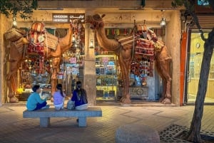 Riad: un viaje a través del tiempo Tour guiado