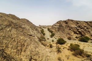 Riyadh: All-Day Ancient Mysteries of Central Arabia Tour