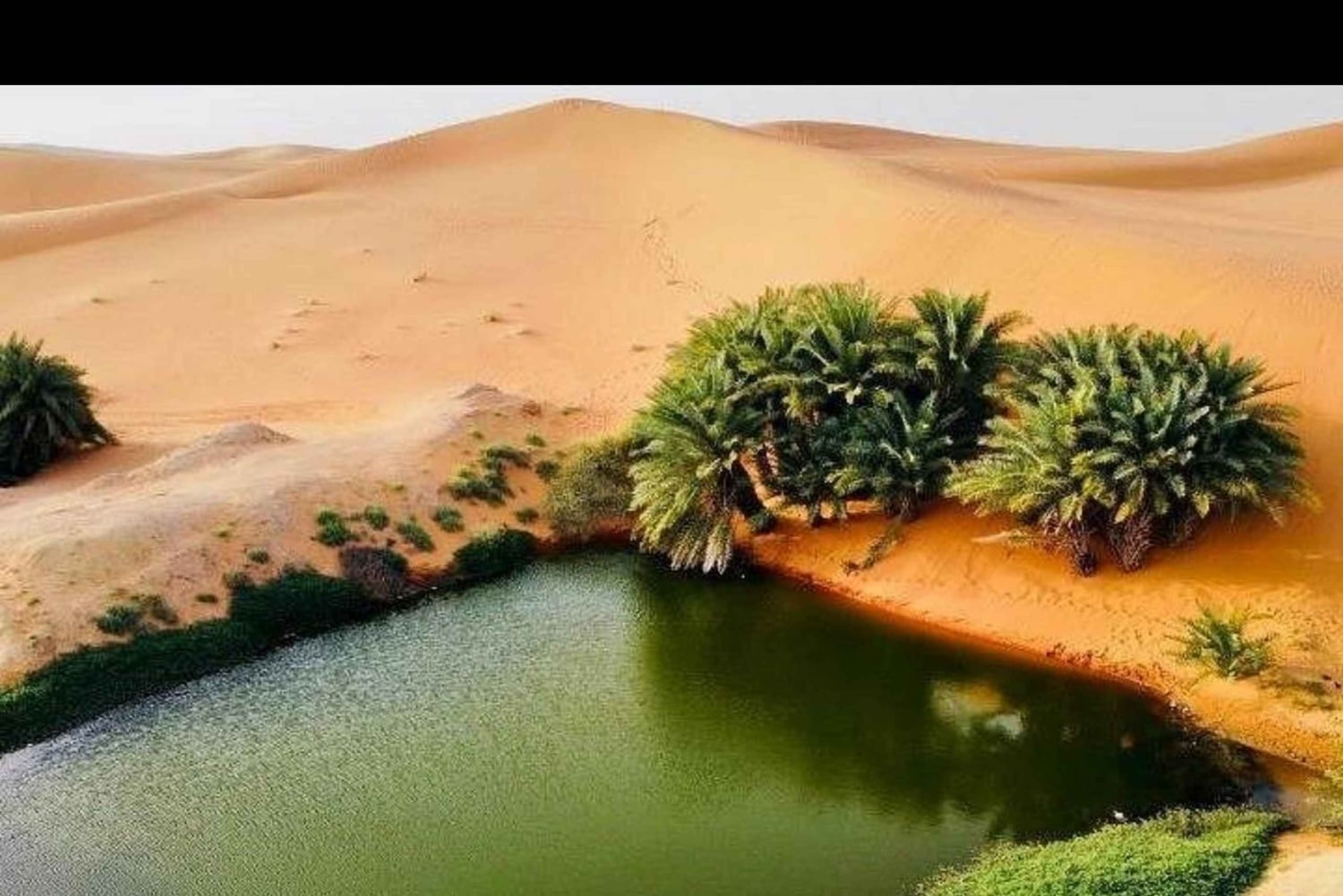 Riyadh: Buraydan Lake, Heritage Village & Salt Flats Tour