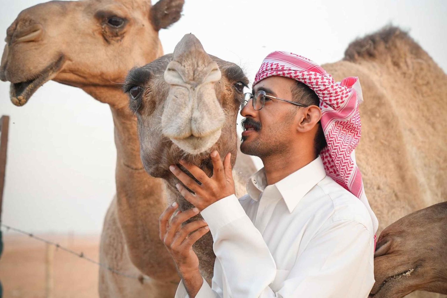 Riad: Aavikon sydämessä sijaitsevalla kamelifarmilla vierailu