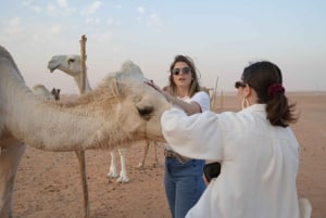 Riyad : expérience CamelBoy