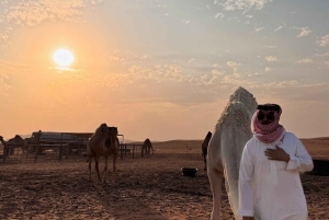 Эр-Рияд: приключение CamelBoy