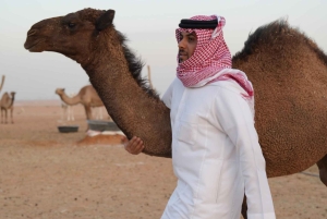 Эр-Рияд: приключение CamelBoy