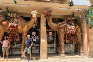 Riad: excursão de um dia ao Museu Nacional e ao Palácio Murraba