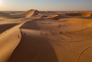 Riyadh:Quad bike with Camel trekking