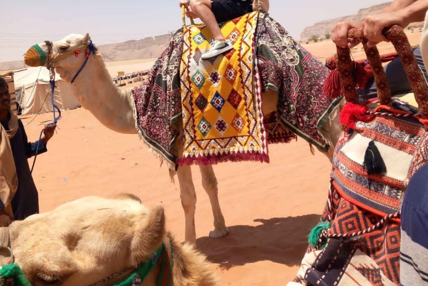 Riyadh: Desert Adventure with Camel Ride and Quad Bike