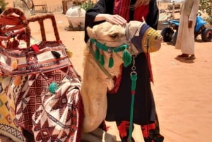 Riyadh: Desert Adventure with Camel Ride and Quad Bike