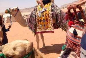 Riyadh: Desert Adventure with Camel Ride and Quad Bike