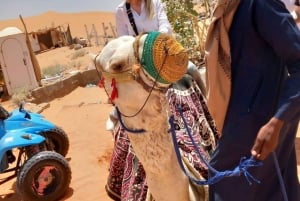 Riyadh: Desert Adventure with Camel Ride and Quad Bike