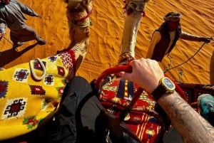 Riyadh: giro in cammello nel deserto, tour in quad e snack