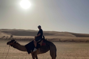 Эр-Рияд: прогулка на верблюдах по пустыне, тур на квадроциклах и закуски