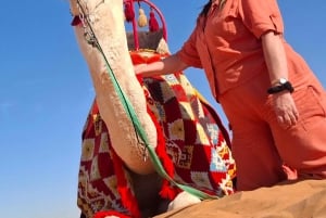 Riyadh : Desert Dunes with (Dinner+Camel Ride+Quad Ride)