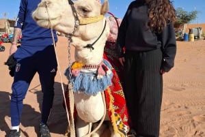 Riyadh : Desert Dunes with (Dinner+Camel Ride+Quad Ride)