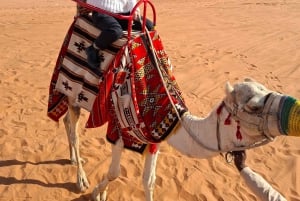 Riyadh : Desert Dunes with (Dinner+Camel Ride+Quad Ride)