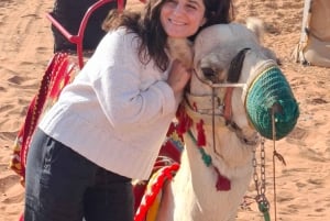 Riyadh : Desert Dunes with (Dinner+Camel Ride+Quad Ride)