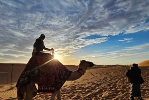 Riyadh Desert Safari Camel Ride Quad Bikes, and Dinner