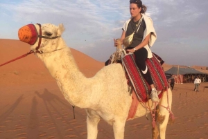 Riyadh Desert Safari Kamelridning Fyrhjulingar och middag