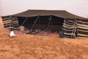 Riyadh: “Discover Red Sand Dunes Safari+Camil ride+Quad bike