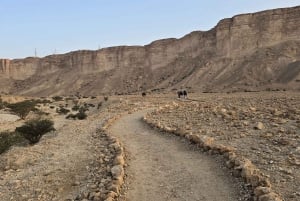 Riyadh: Edge of the World and Darb Al-Manjoor, VIP treatment