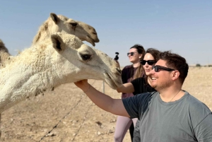 Riad: Offroad-Ausflug „Edge Of The World” & Sternbeobachtung mit 4x4