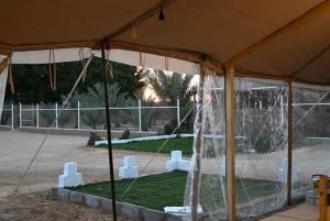 Riyad: wandelen, paard- en kameelfotografie en barbecue-diner