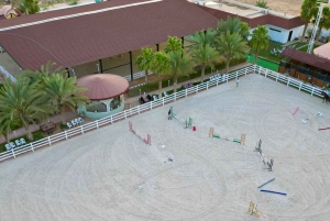Riad: Experiencia de montar a caballo árabe