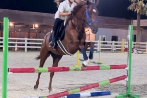 Riad: Experiencia de montar a caballo árabe