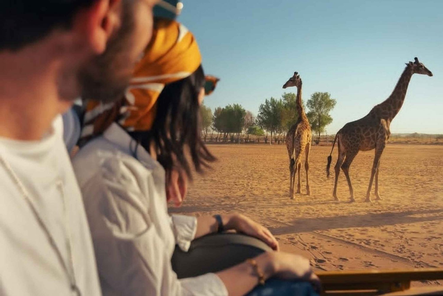 Riyadh: Nofa Wildlife Park Day Trip (Private)