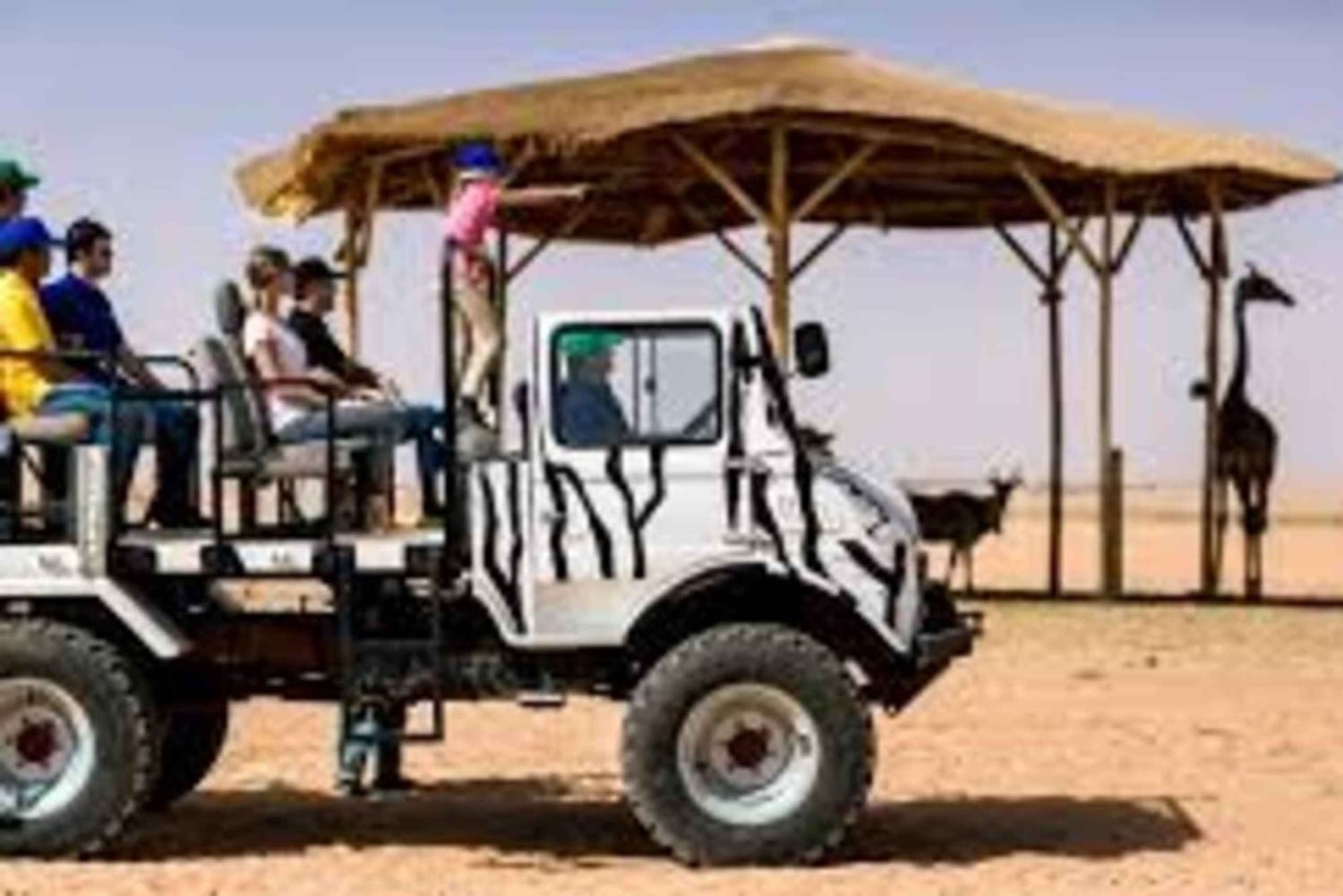 Riyadh: Nofa Wildlife Park Safari Private Tour