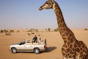 Riyadh: Nofa Wildlife Park Safari Private Tour