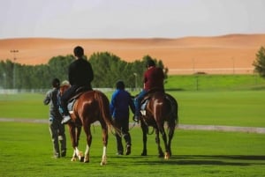 Riyadh: Nofa Wildlife Park Safari Private Tour