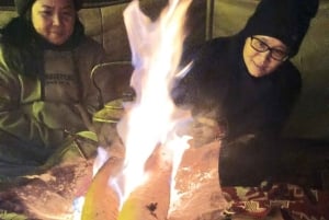 Riyad : excursion d'une nuit dans le désert avec chameaux, quads et dîner