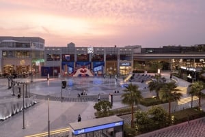 Riadin kohokohdat: yksityinen kierros oppaan ja auton kanssa