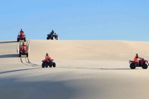 Rijad: Prywatne pustynne safari z kolacją