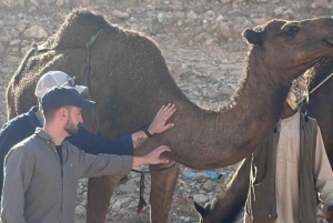 Riyadh: tour privato all'alba al Confine del Mondo