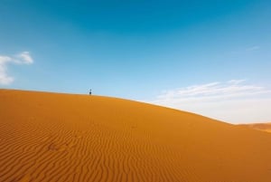 Rijad: czerwony piasek: jazda na ATV po wydmach, jazda na wielbłądzie i sandboarding