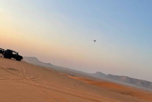 Riyadh: Kamelridning i de røde sandklitter, quadbike- og sandboardingeventyr