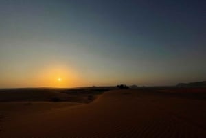 Riyadh: Kamelridning i de røde sandklitter, quadbike- og sandboardingeventyr