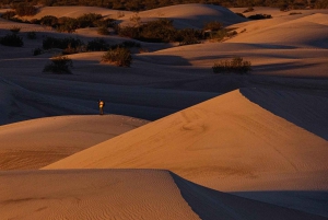Riyadh: dune di sabbia rossa, giro in cammello, quad e sandboarding