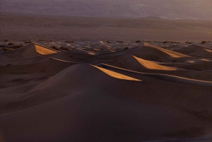 Riyadh: dune di sabbia rossa, giro in cammello, quad e sandboarding