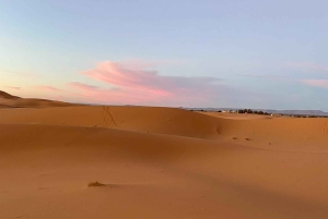 Riyadh: dune di sabbia rossa, giro in cammello, quad e sandboarding