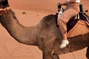 Riyadh: Red Sand Dunes (Safari trip)